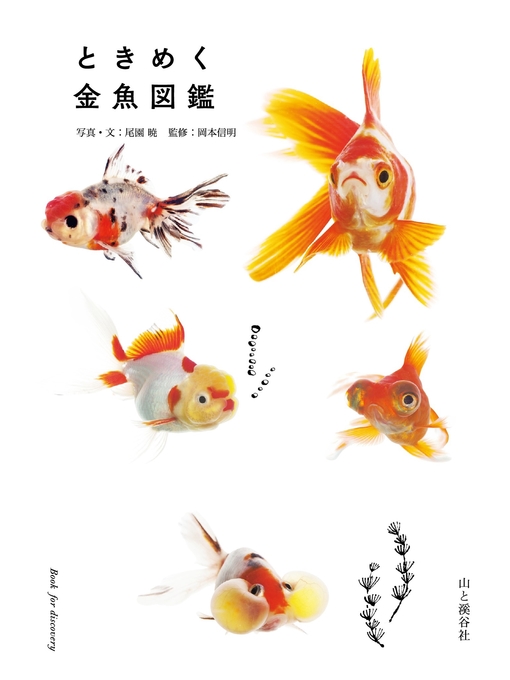 Title details for ときめく金魚図鑑 by 尾園暁 - Available